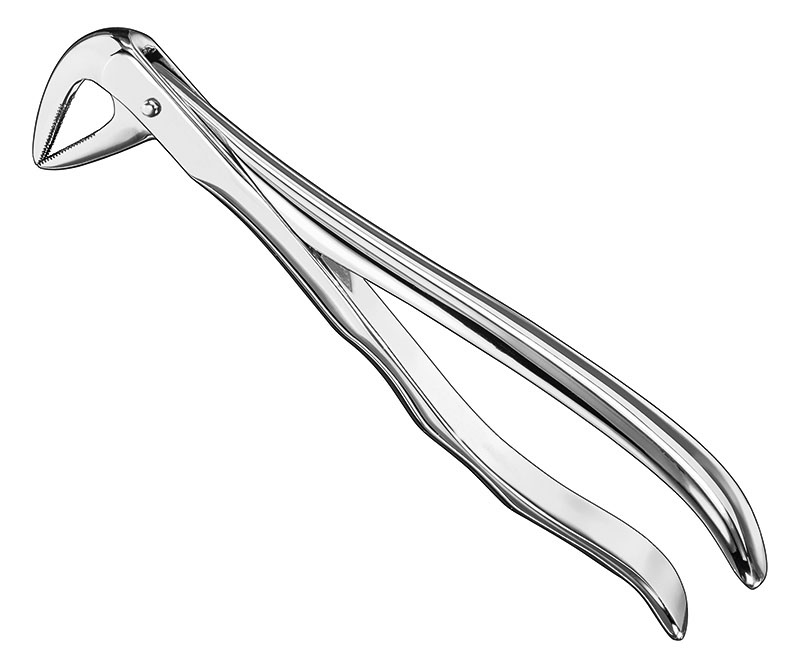 Extracting Forceps Anatomically Shaped Handle Standard