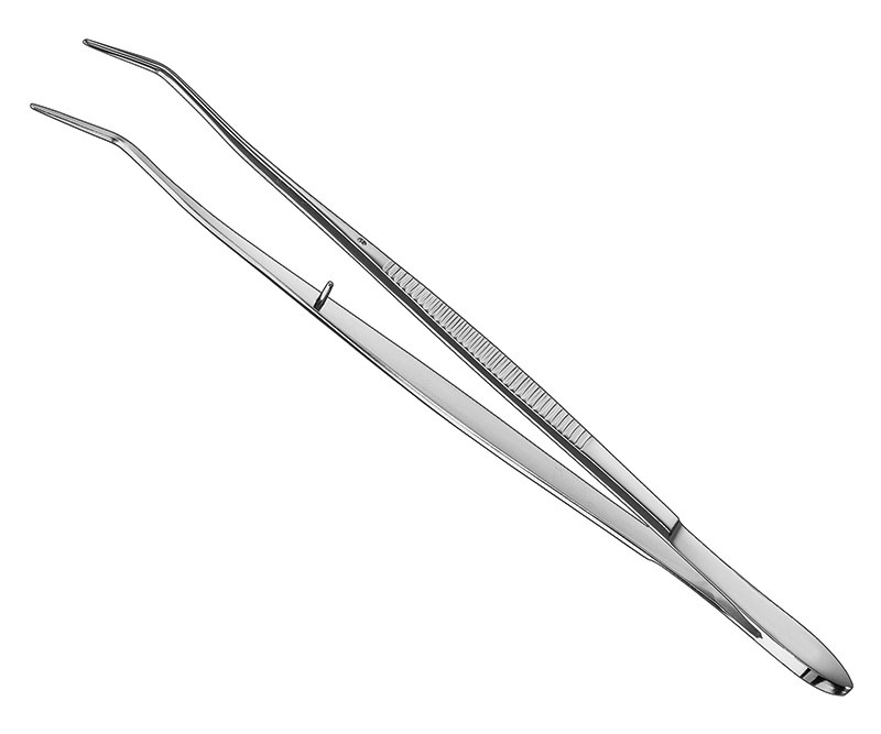 Cotton Forceps