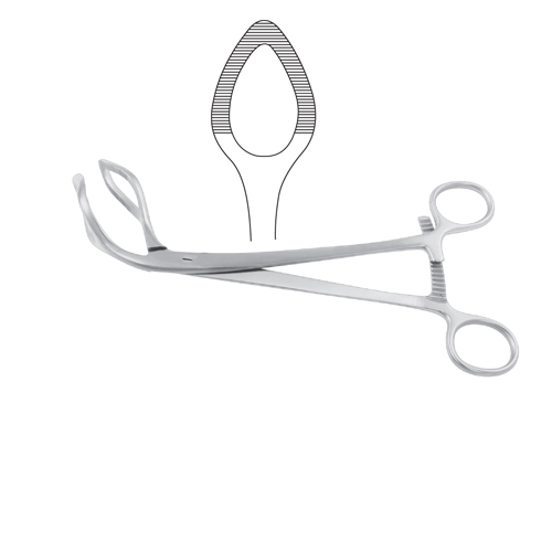 Uterine Seizing Forceps