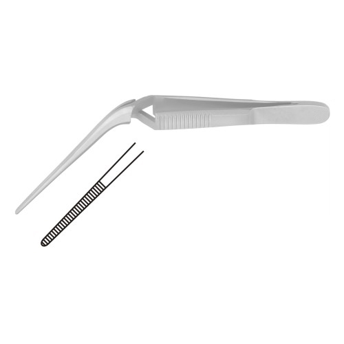 Alligator & Ear Forceps